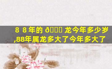 ８８年的 🐘 龙今年多少岁,88年属龙多大了今年多大了